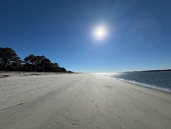 A beach with a clear sky and the sun shining.