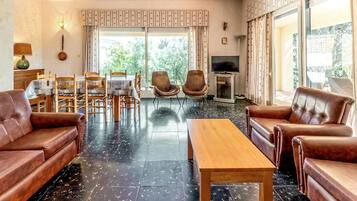 Télévision, cheminée