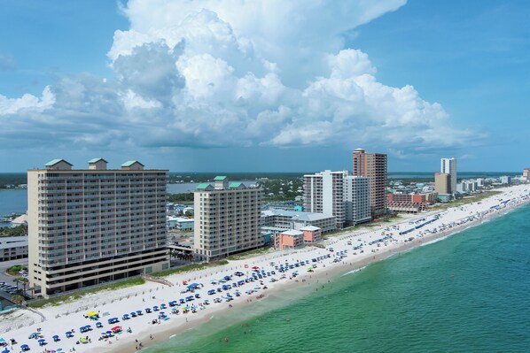 On the beach - Crystal Shores West 803- Wonderful Gulf front Condo, Directly on the  Gulf of Mexico (Gulf Shores)