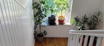Casa de huéspedes 'Westfälischer Hof - 2ª planta' con jardín y Wi-Fi