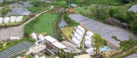 Blick auf die Umgebung