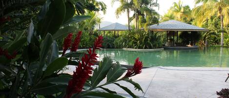 A pool area with a gazebo, surrounded by lush greenery and palm trees.