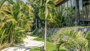Un camino que lleva a un edificio moderno rodeado de abundante vegetación y palmeras.