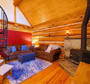 Una Smart TV, una chimenea, un reproductor de DVD, libros