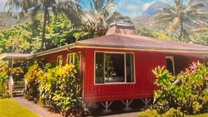 Een rode woning met veranda, omgeven door weelderige begroeiing en palmbomen.