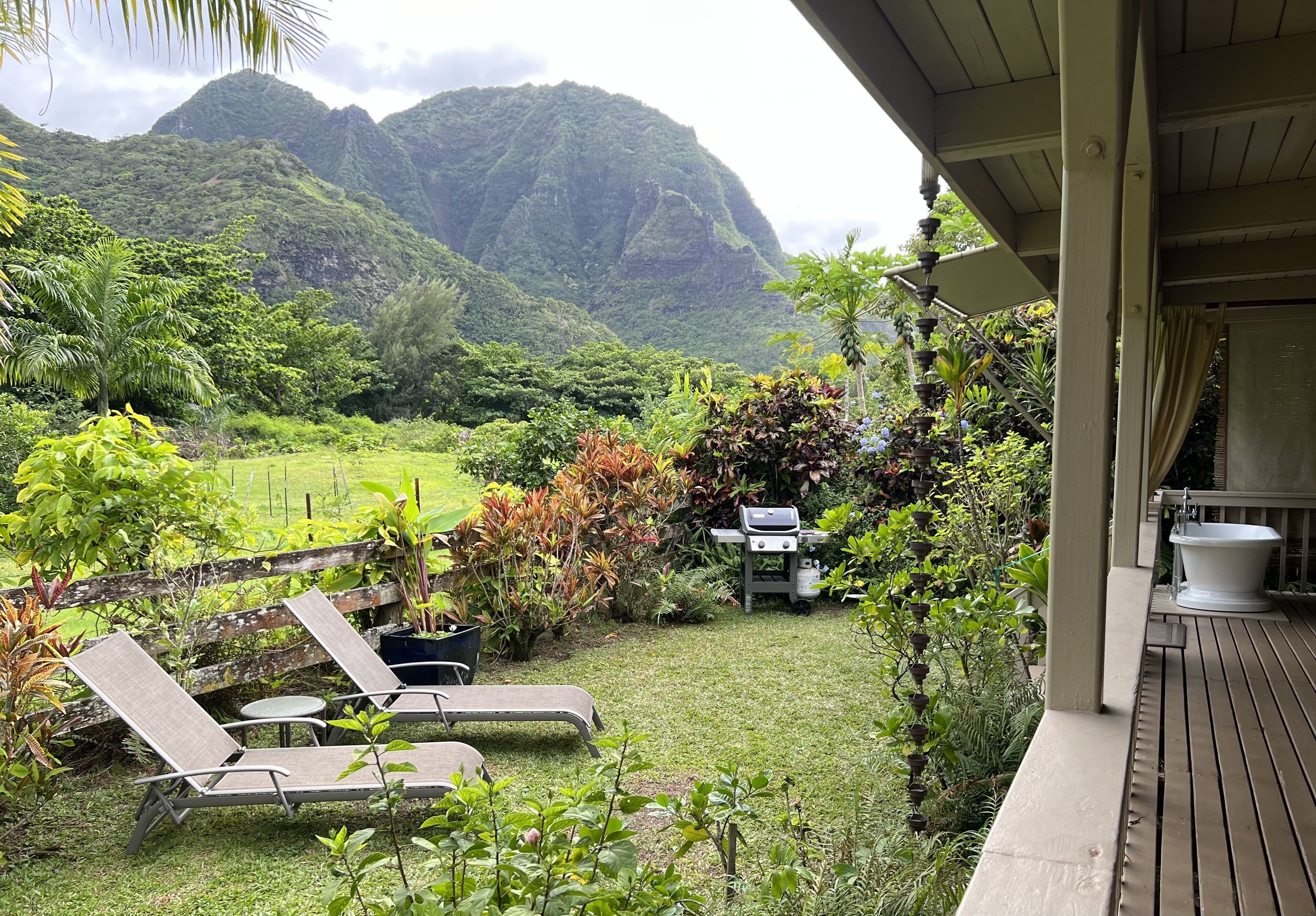 10 Best PetFriendly Rentals In Kauai, Hawaii Updated 2024 Trip101
