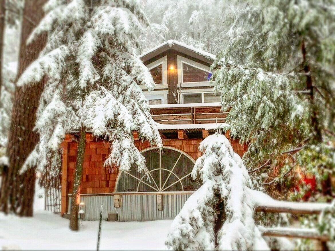 Secluded cabin with an enchanted garden
