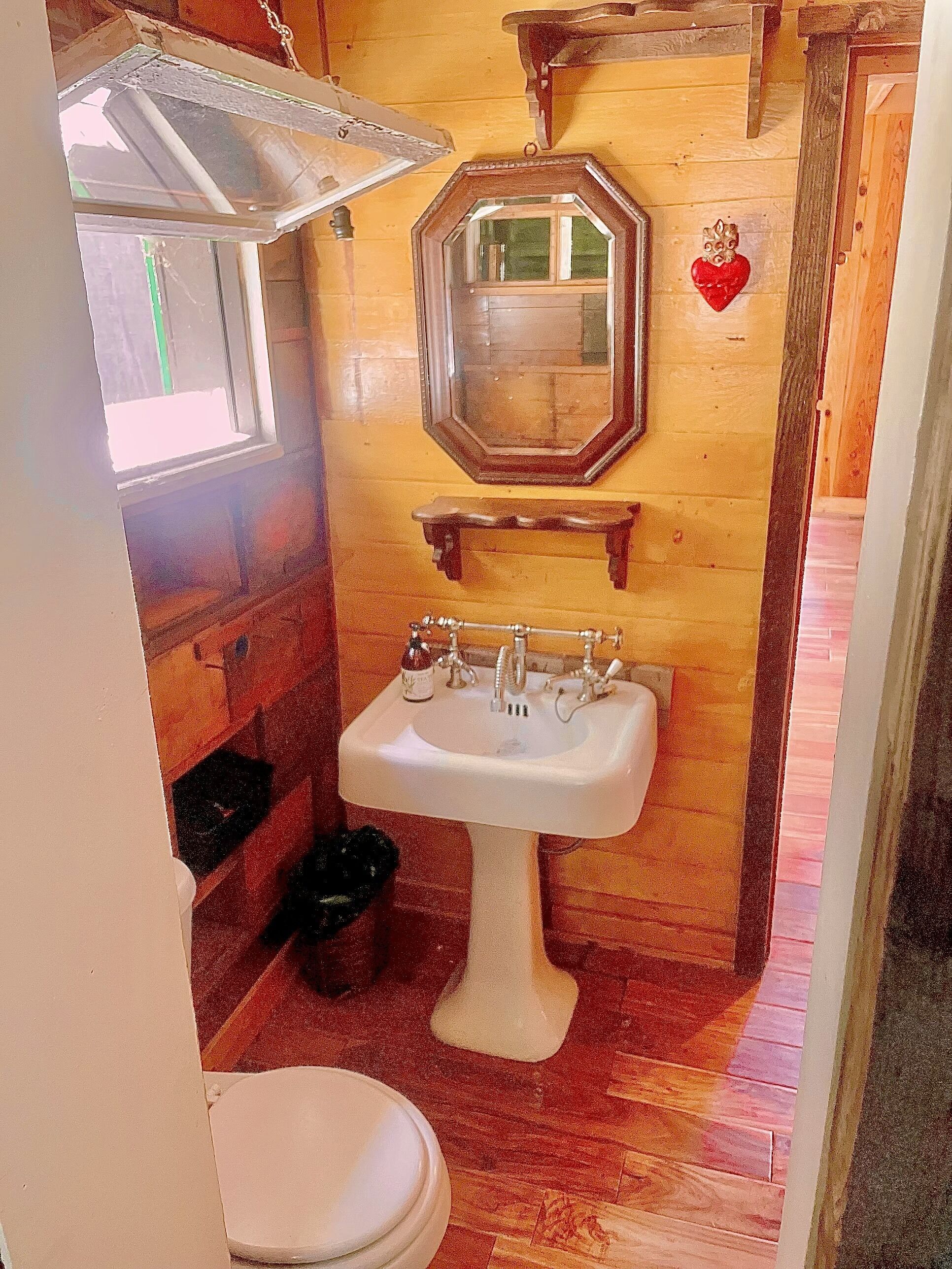 Secluded cabin with an enchanted garden