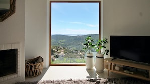 Sala de estar com uma grande janela, lareira, televisão e duas plantas em vasos.