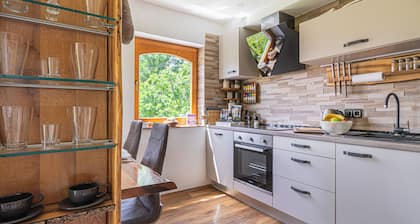 Vineyard cottage Matej