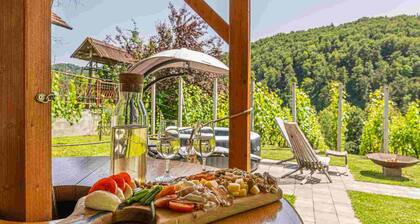 Vineyard cottage Matej