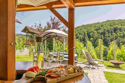 Vineyard cottage Matej