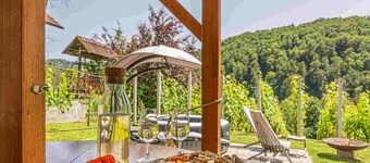 Vineyard cottage Matej