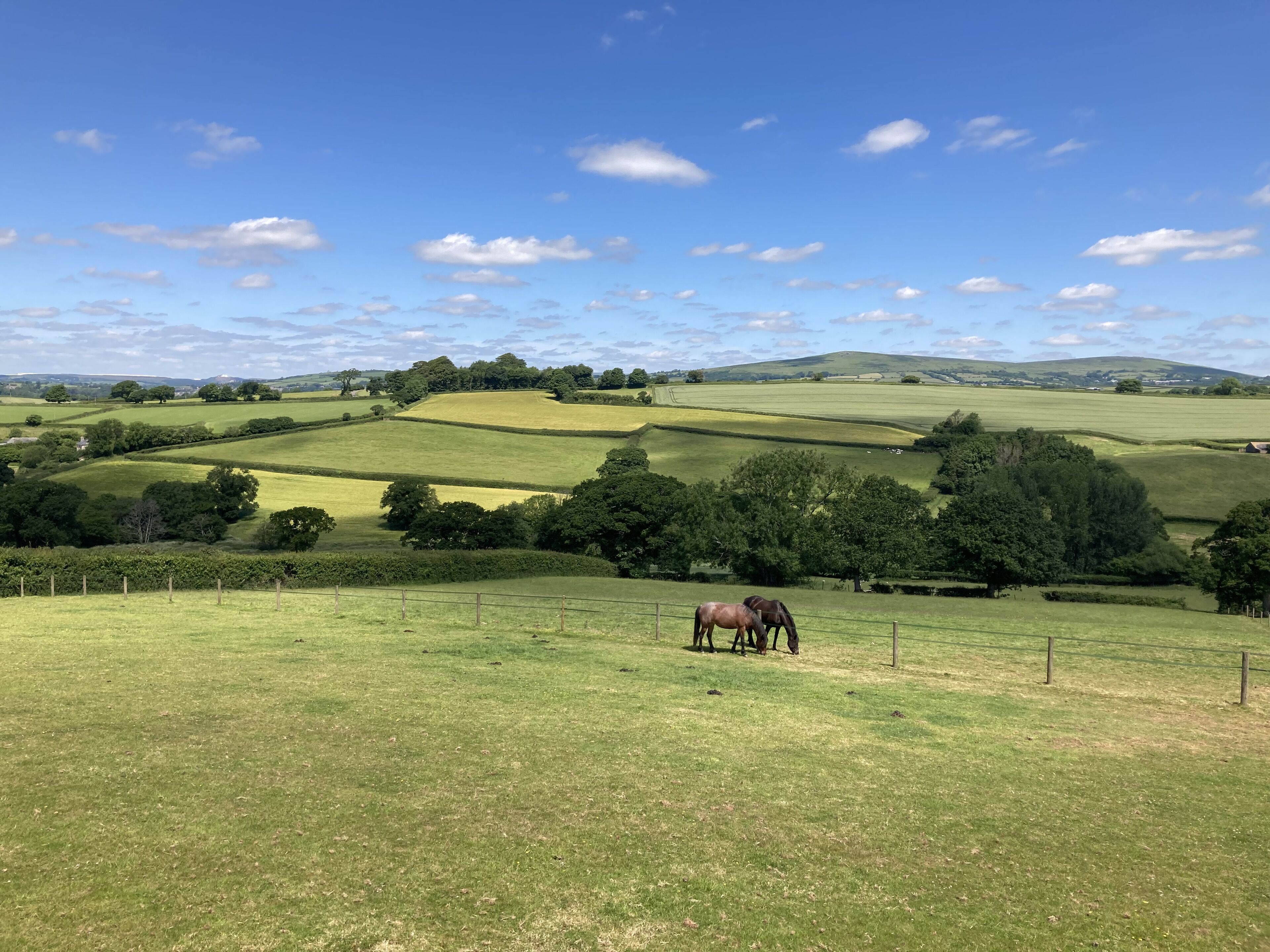 Pretty timber cabin with glorious views of South Devon countryside
