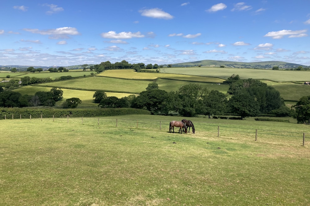 Pretty timber cabin with glorious views of South Devon countryside