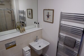 Ducha, secador de pelo, toallas y papel higiénico