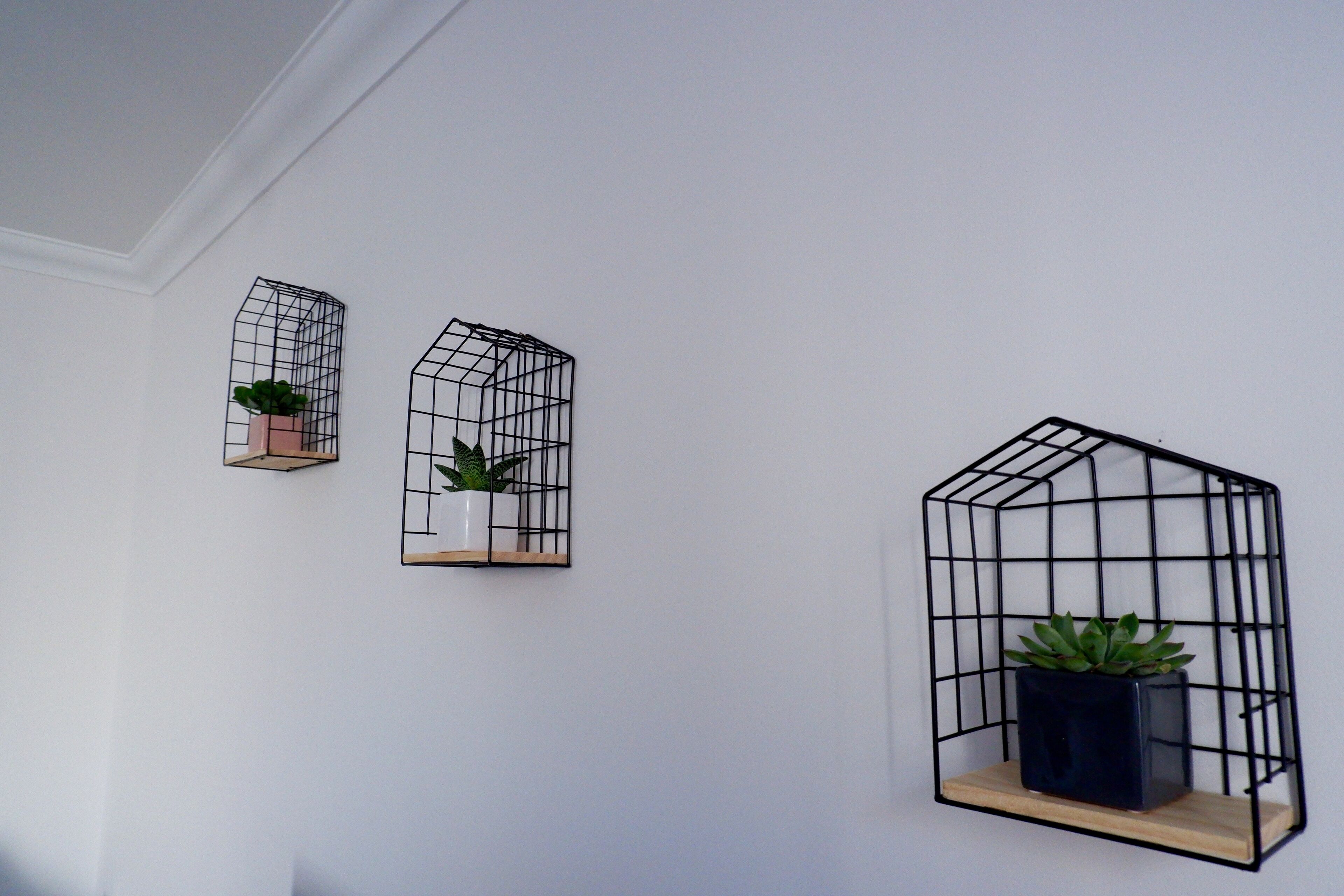 Drie zwarte, draadachtige plantenbakken met planten tegen een witte muur.
