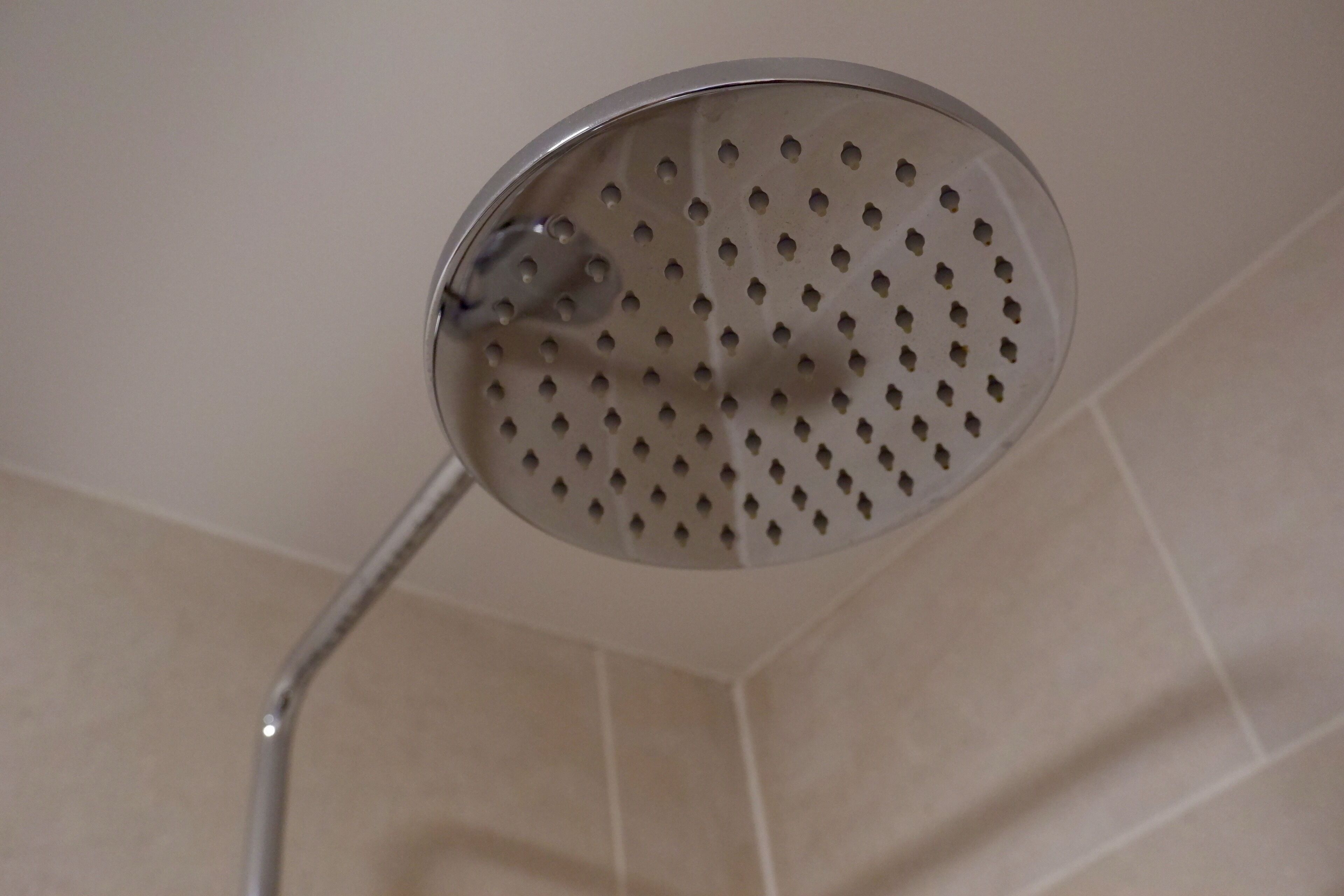 Un pommeau de douche de forme circulaire, percé de trous, fixé au mur au-dessus d’un sol carrelé.