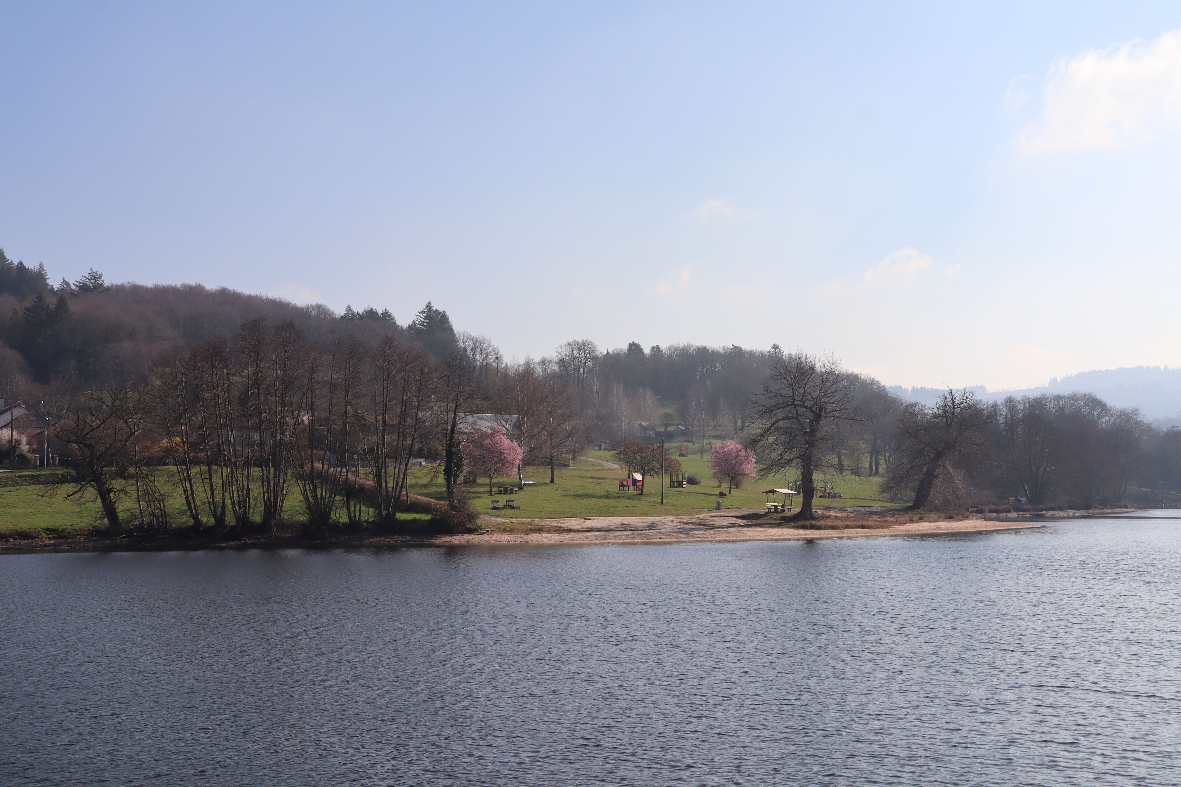 Une vue paisible sur un lac, avec une zone herbeuse, des arbres et une colline au loin.