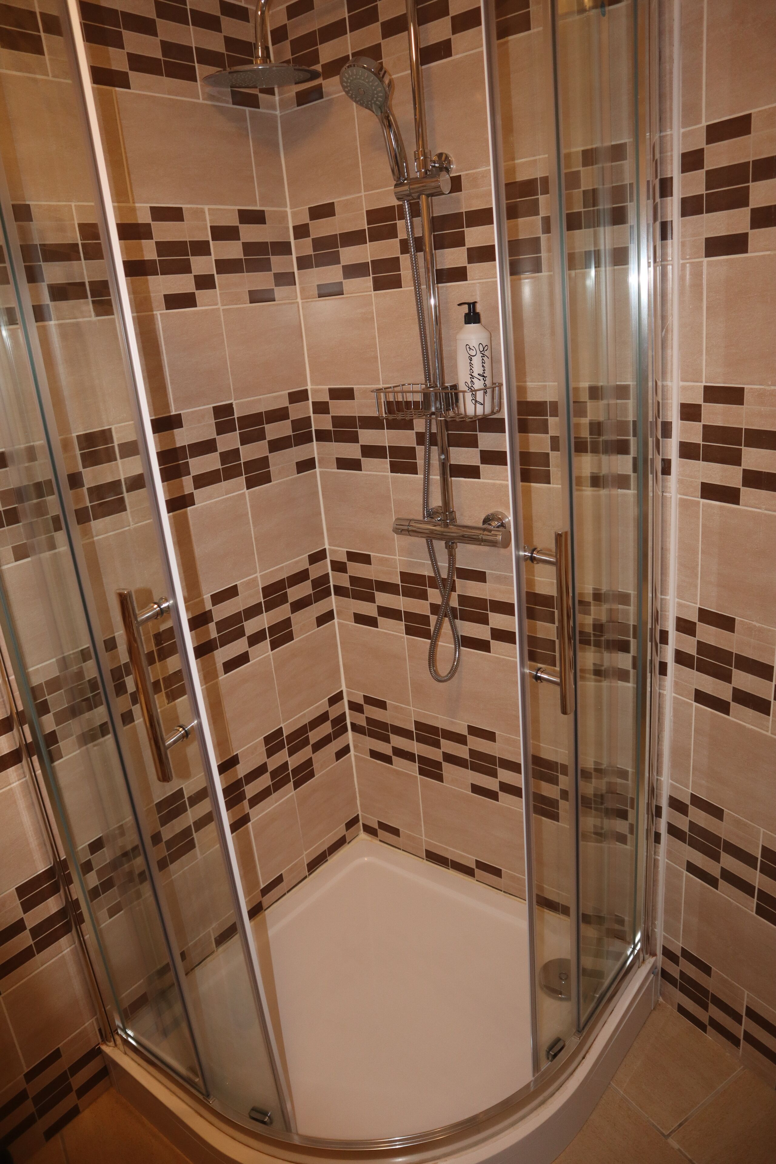 A glass-enclosed shower area with a handheld showerhead and a bottle of shampoo.