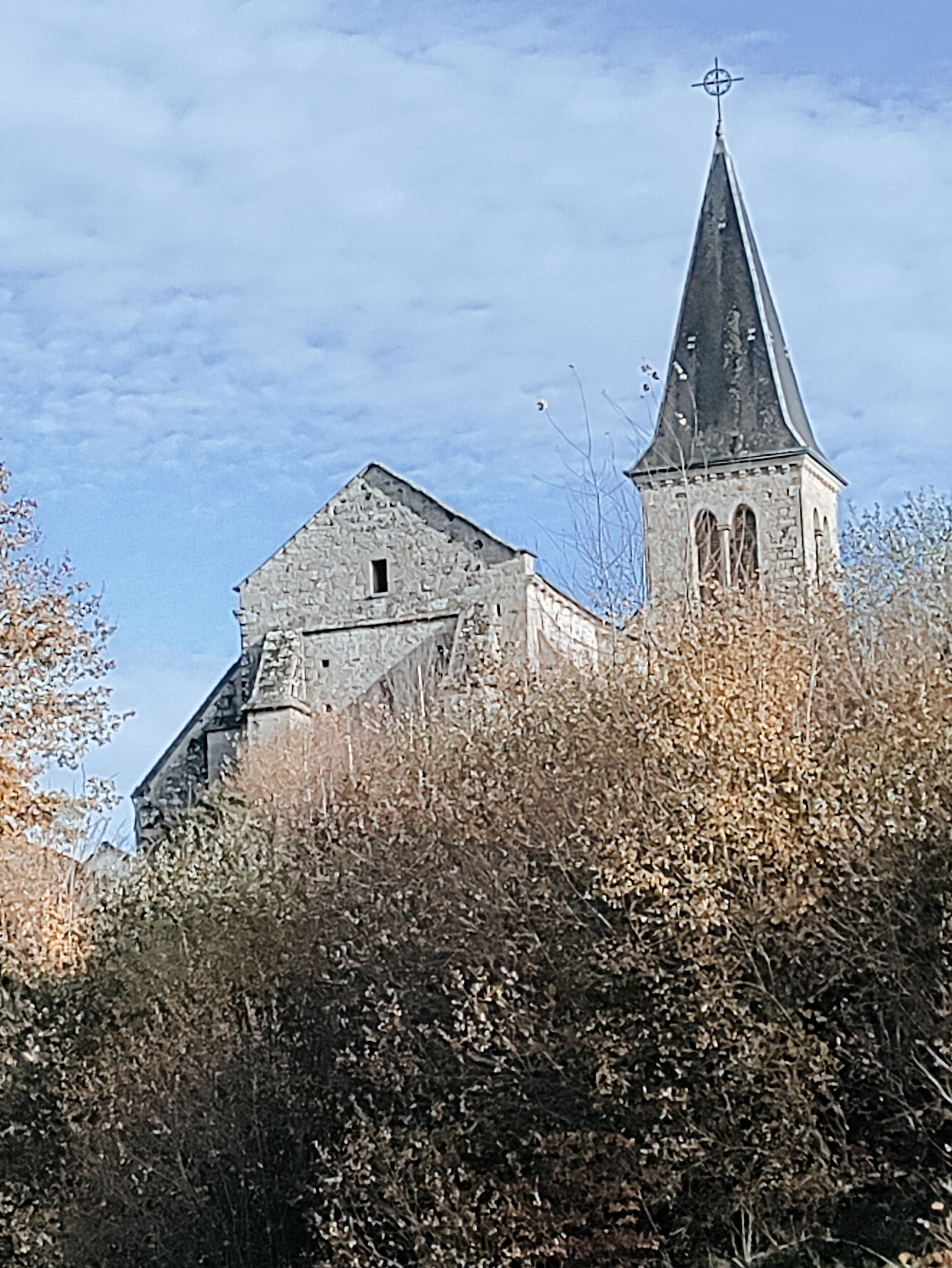 En gotisk kirke med et højt spir og vejrhane, omgivet af tør vegetation.