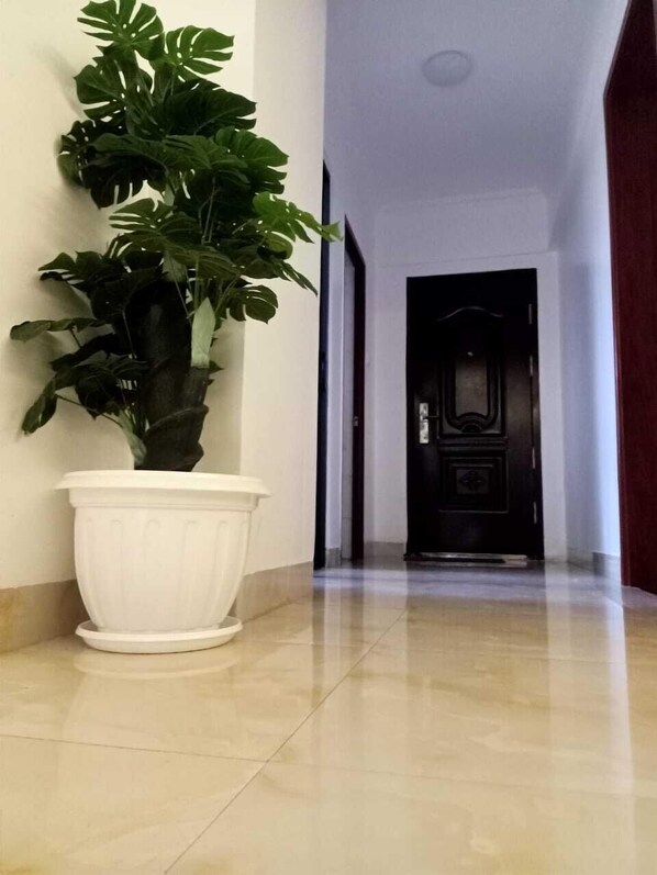 Luksus-lejlighed | Opholdsområde | 24-tommers smart-tv med digitale kanaler, tv