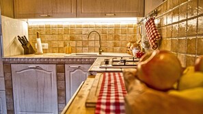 House | Private kitchen | Full-sized fridge, oven, stovetop, coffee/tea maker - Vineyard cottage Podrzaj (Novo Mesto)