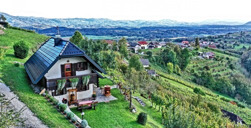 Vineyard cottage Podrzaj