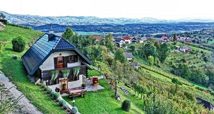 Vineyard cottage Podrzaj