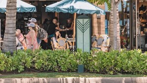 A coffee shop named 'KAI COFFEE' with outdoor seating and palm trees.