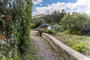 Ein Gartenweg mit Betonrand, verschiedenen Pflanzen und einem Gebäude im Hintergrund.