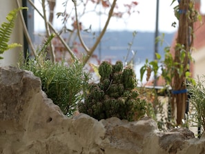 A cactus plant in a rocky planter with a view of a building and trees in the background. - Apartment Lea (Dubrovnik)