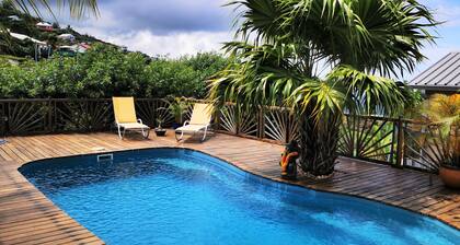 Villa "CAZALYNE" classified**** swimming pool ocean view