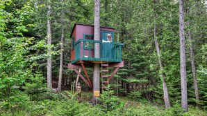 A treehouse with a wooden deck and a ladder, surrounded by dense forest.
