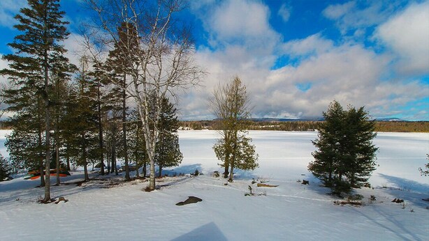A snowy landscape with trees and a clear sky.