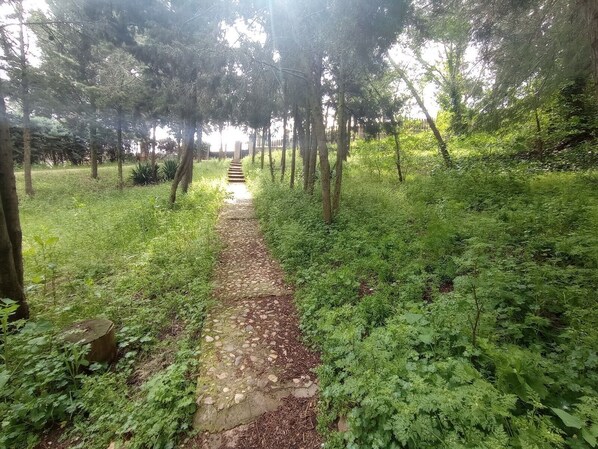 المنطقة المحيطة بالمنشأة