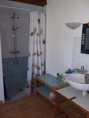 Shower, hair dryer, toilet paper