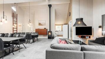 Tv, pejs, dvd-afspiller, bordfodbold