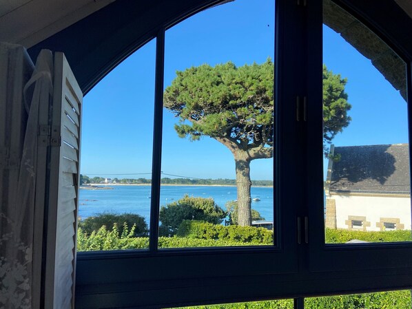 A view through a window with a large tree, a body of water, and a distant bridge.