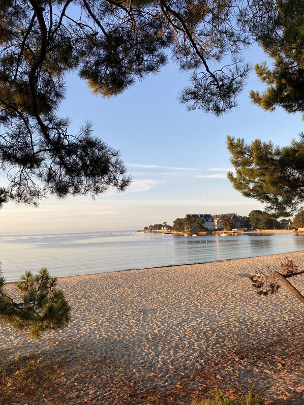 Plage à proximité
