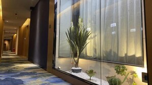 A hallway with a patterned carpet, a potted plant, and a window with a view. - Shenzhen Aige Hotel (Clothing Wholesale Market Nanyou Metro Station Store) (Shenzhen)