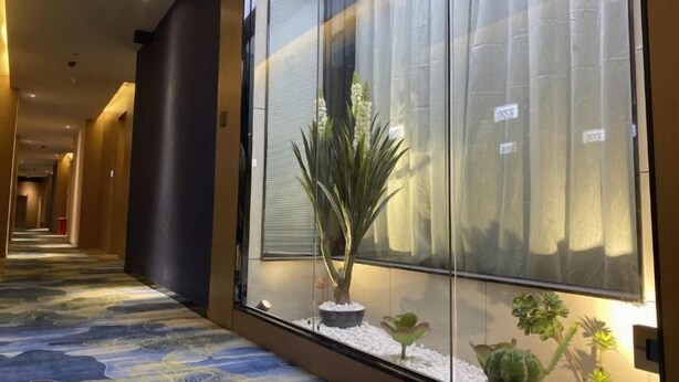 A hallway with a patterned carpet, a potted plant, and a window with a view. - Shenzhen Aige Hotel (Clothing Wholesale Market Nanyou Metro Station Store) (Shenzhen)