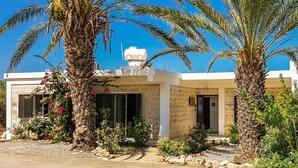 A building with a stone facade, palm trees, and a clear blue sky.