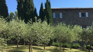 A stone building with a tiled roof and white shutters, surrounded by olive trees and tall cypress trees. - Villa Carmeli 12 2 in Acquapendente (Acquapendente)