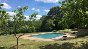Una piscina rettangolare con bordo piastrellato, circondata da erba e alberi.