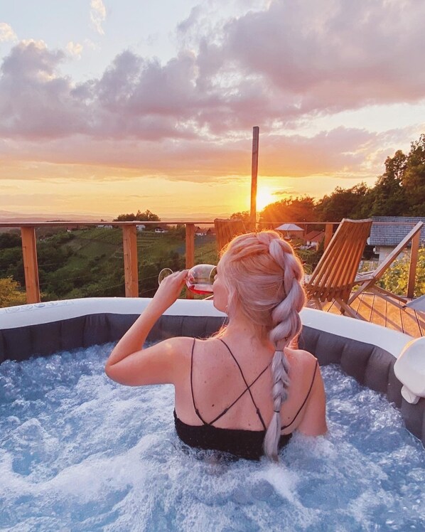 Exterior - Vineyard cottage Soncni gric (Trebnje)