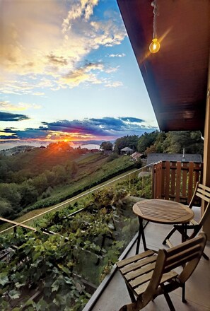 Balcony - Vineyard cottage Soncni gric (Trebnje)