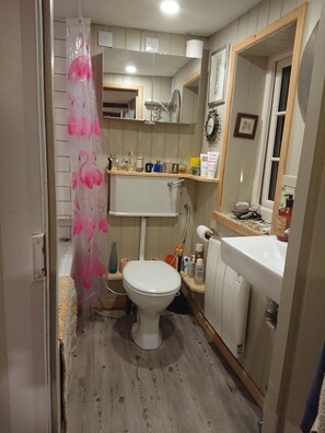 Combined shower/bathtub, hair dryer, bidet, towels