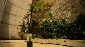 Un espace architectural moderne doté d’un plafond incurvé, d’un mur en béton et d’un cactus.