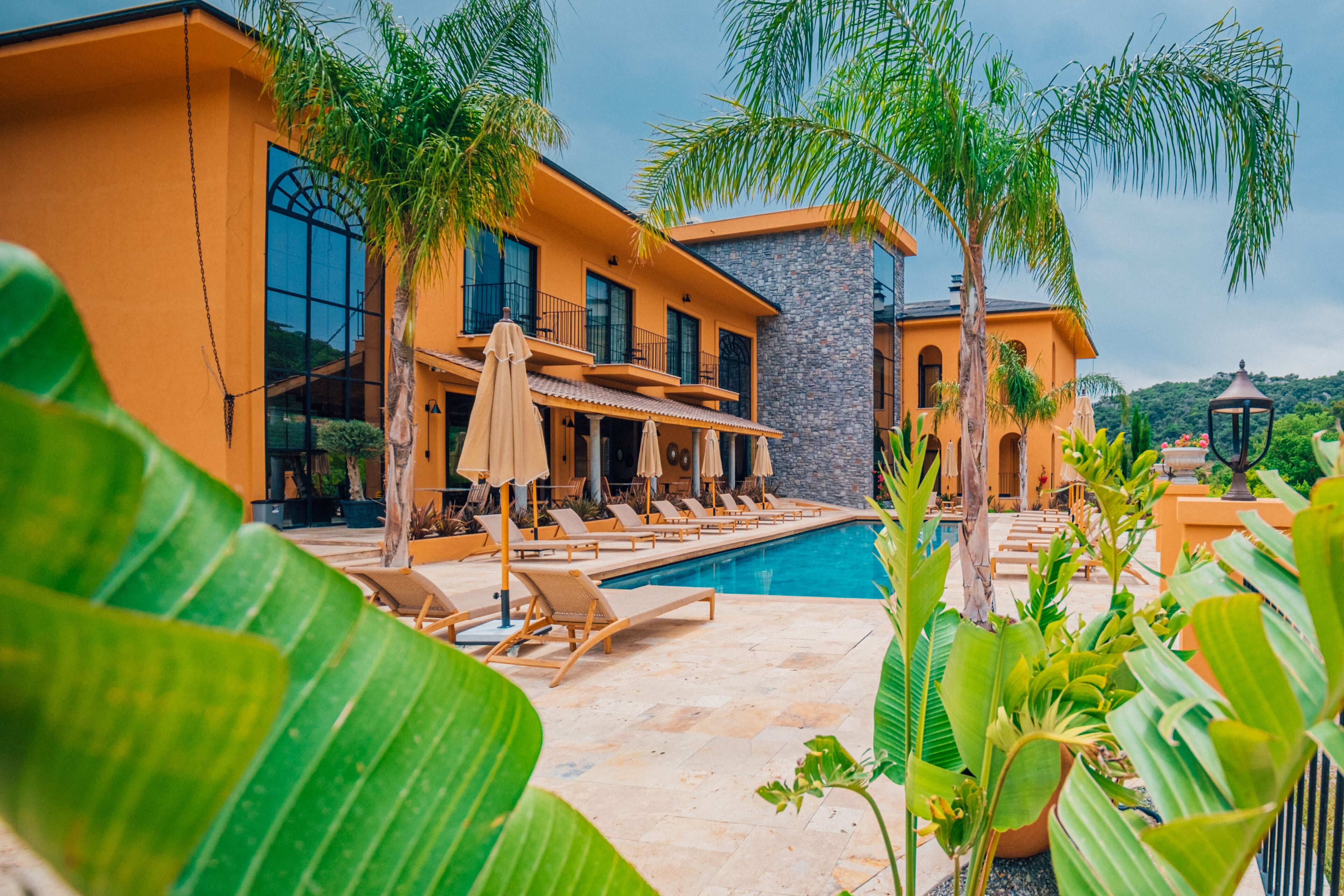 A modern house with a swimming pool, lounge chairs, and tropical plants.